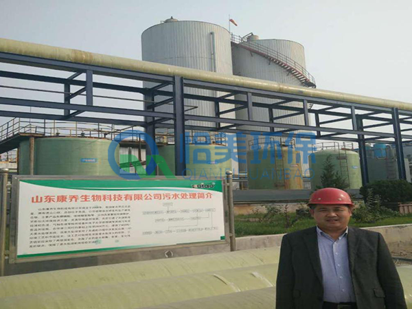 IC厭氧反應(yīng)器