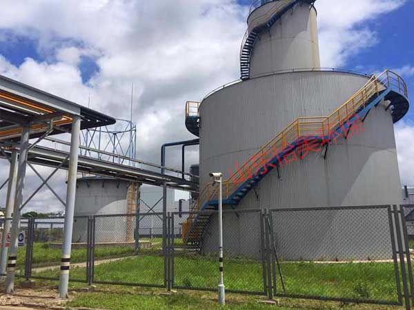 EGSB厭氧反應(yīng)器